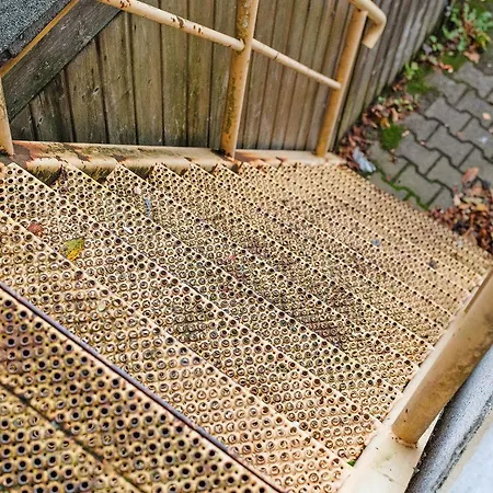 Fuchsbau In Der Ktv Lejlighed