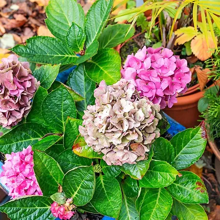 Lejlighed Fuchsbau In Der Ktv Rostock